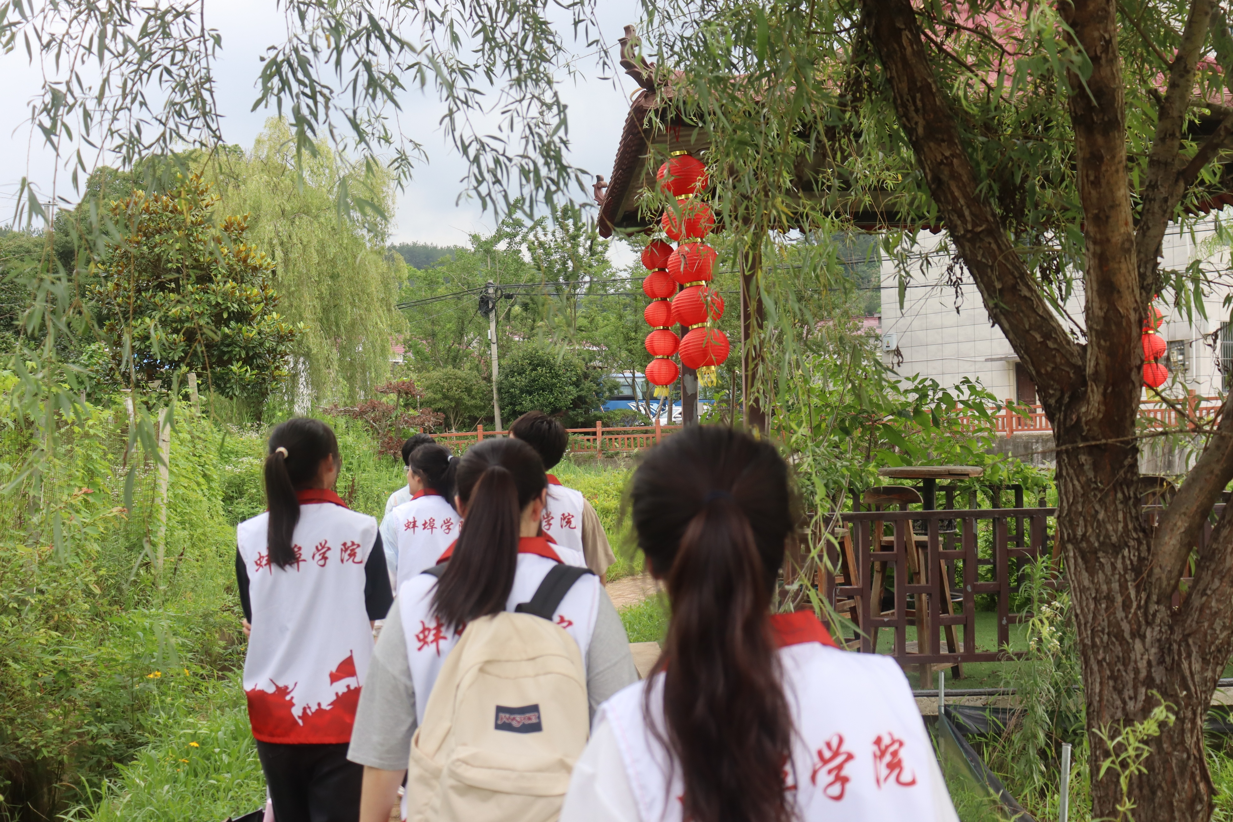 乡村振兴视角下的田园,乡村振兴奏响田园交响曲