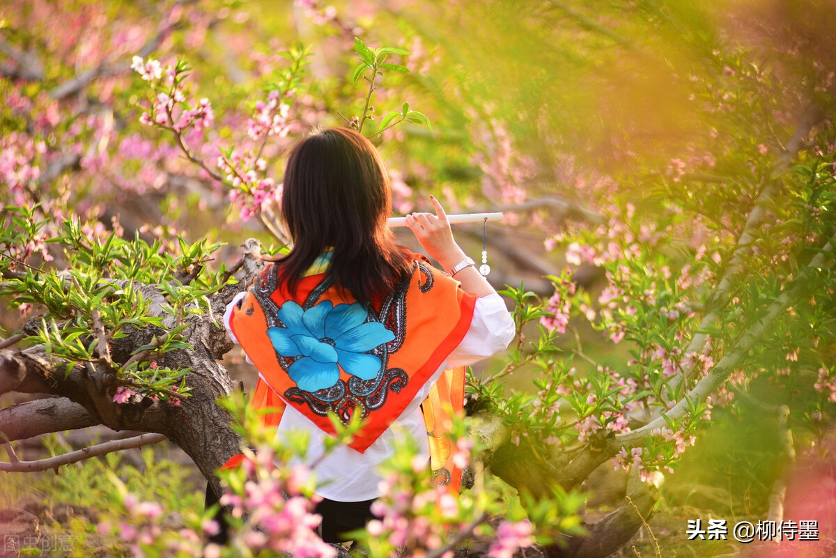 手机摄影照片细节拍摄技巧,手机摄影拍照的五大误区