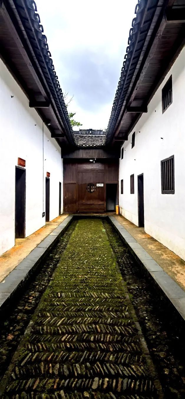 哈雷车主会福州分会,哈雷hog车主会八周年庆典巡游