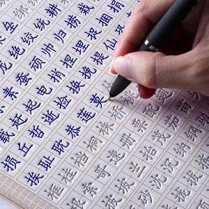 草根作家杨正夫乡土作品选集（四）勤劳的“小蜜蜂”文/杨正夫