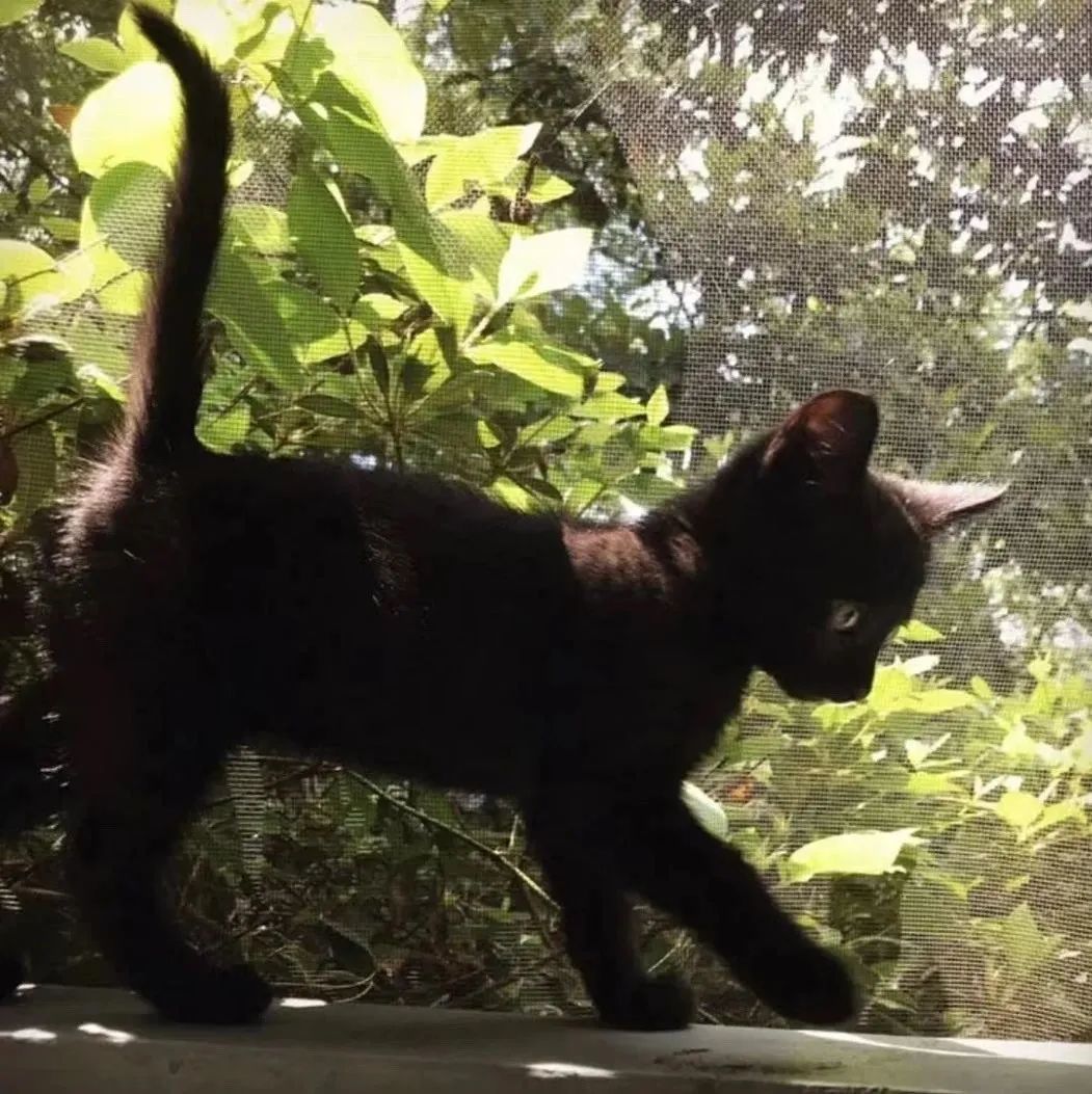 微信朋友圈动态背景图,微信朋友圈背景图暴富