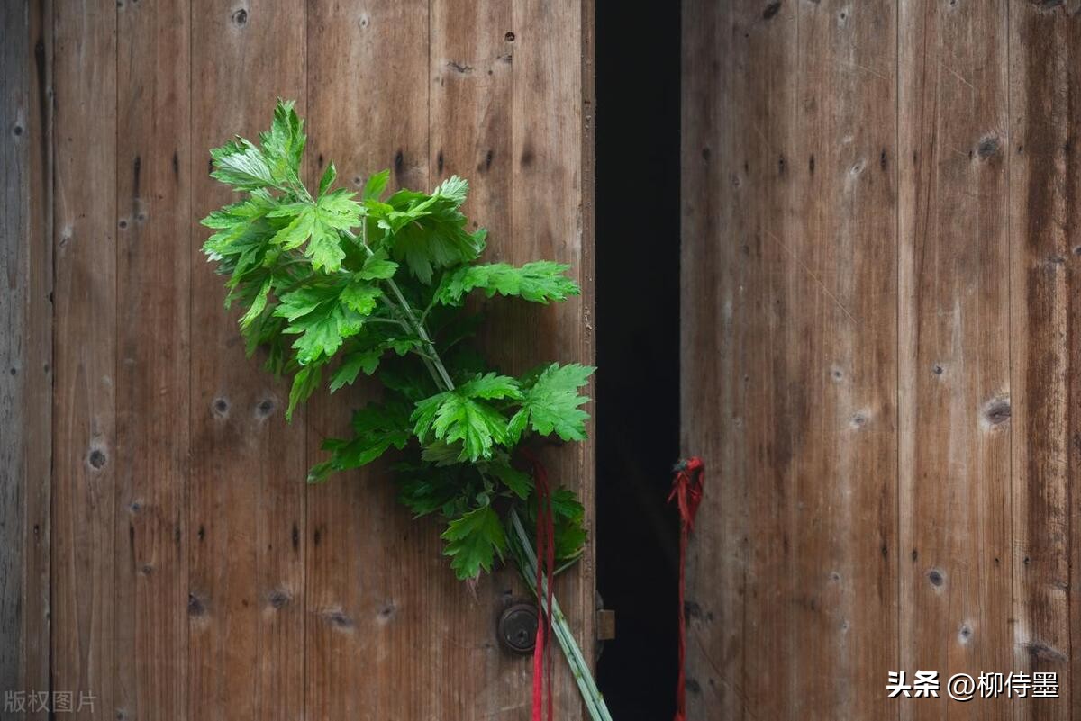 如何在端午节和粽子拍照片,端午假期各种拍照姿势