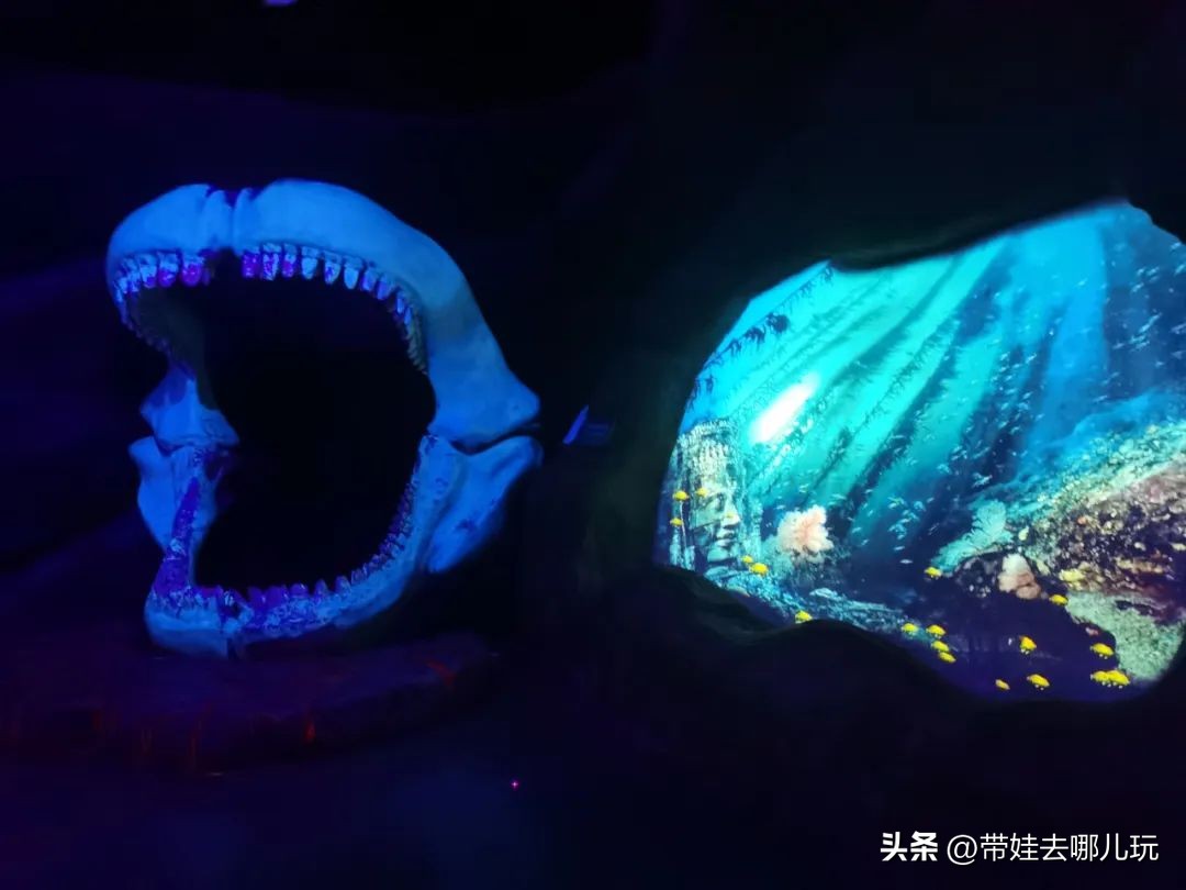 天津海昌极地海洋馆哪里购票便宜,天津海昌极地海洋公园隐藏玩法