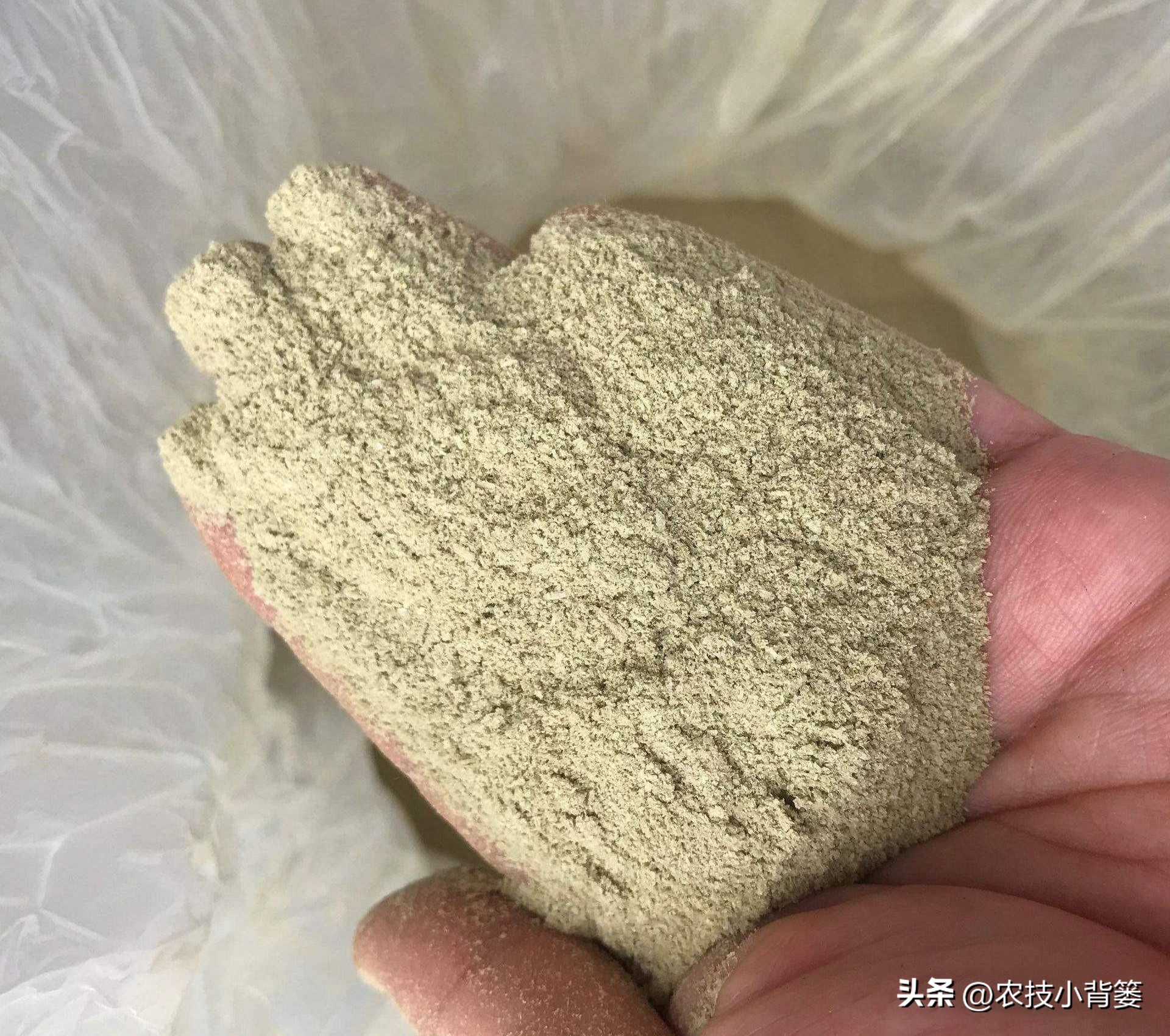 菌剂和菌肥哪一种更好,菌剂和菌肥有什么区别
