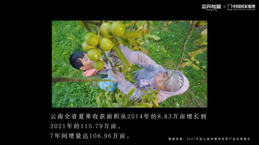 三只松鼠初创业视频,三只松鼠创业案例介绍视频