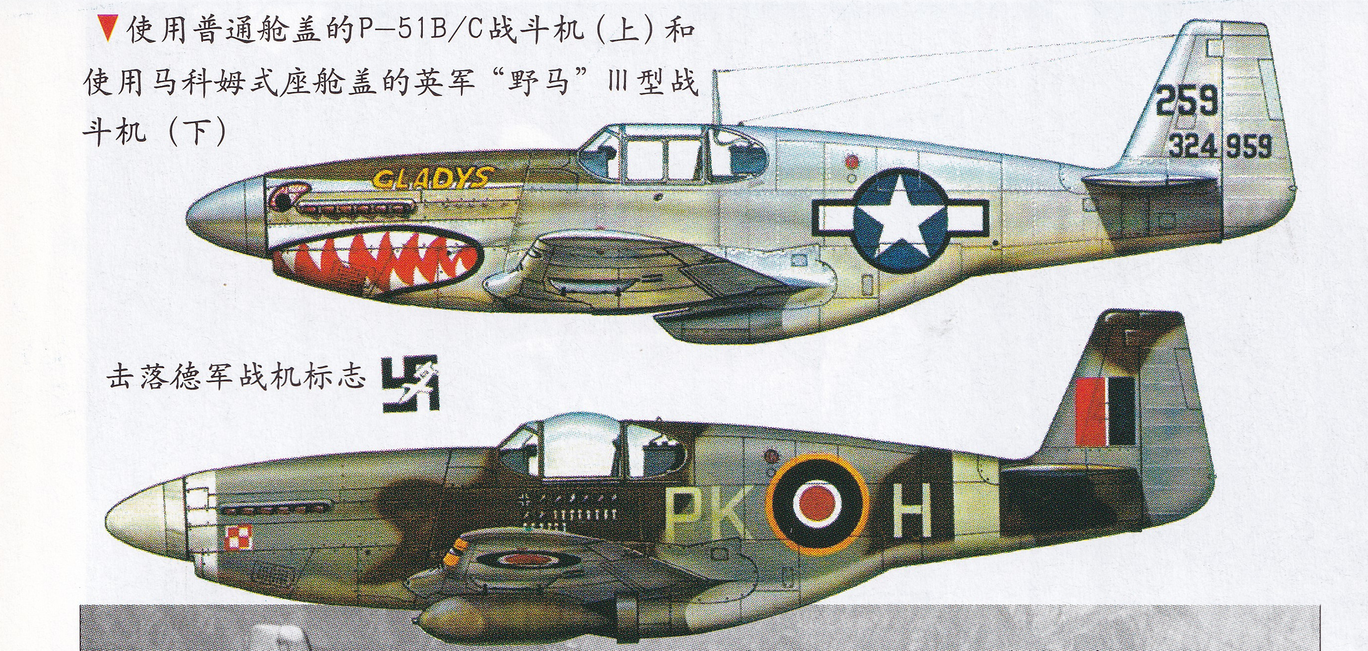 野马p26战斗机,野马家庭版