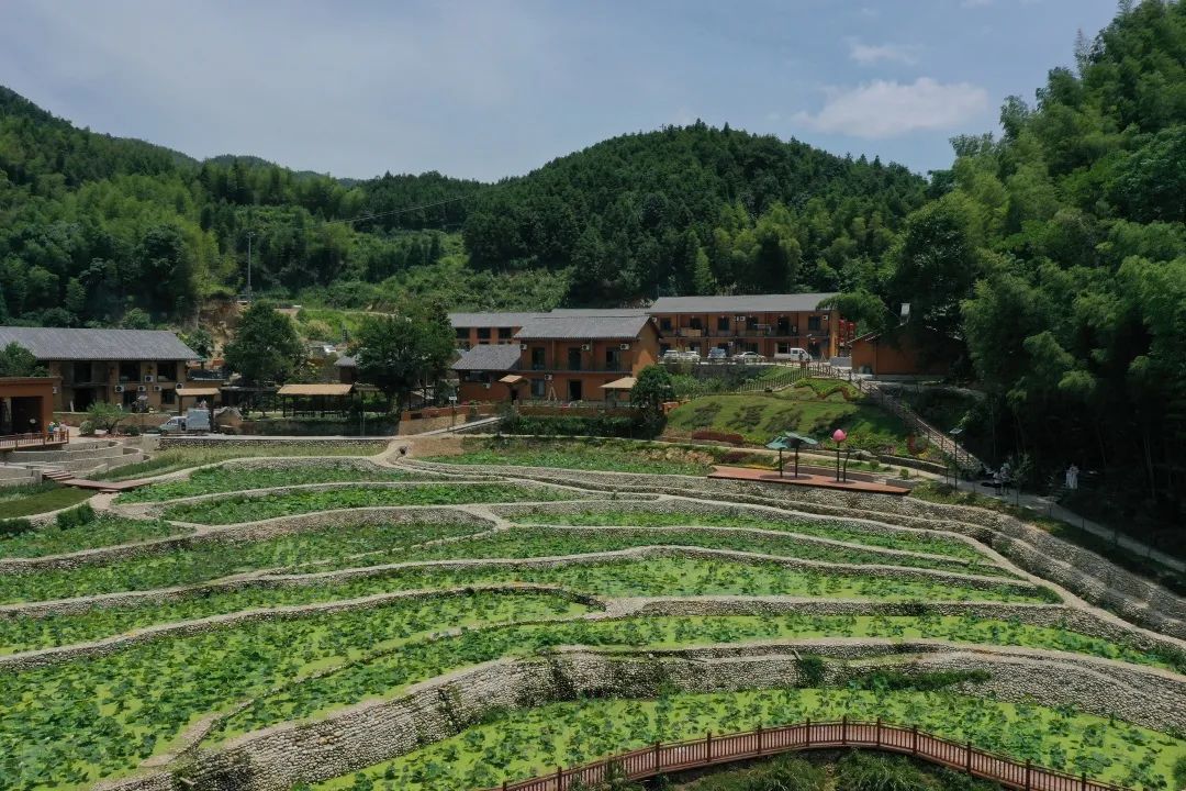 这份避暑指南请你收好,夏天必去武功山