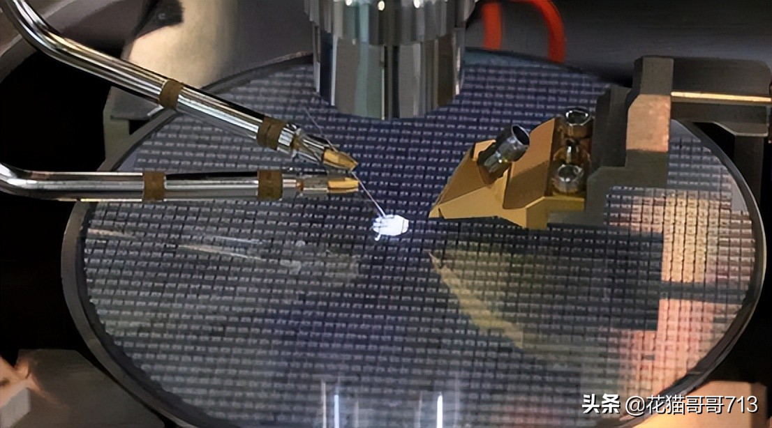 猫哥俄罗斯,猫哥在俄罗斯最新视频