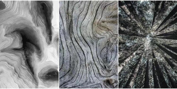 fashion商业,fashion百货