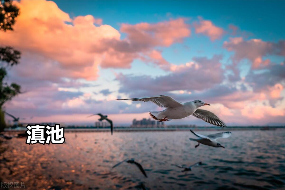 昆明旅游攻略旅游团,云南昆明旅游团有哪些