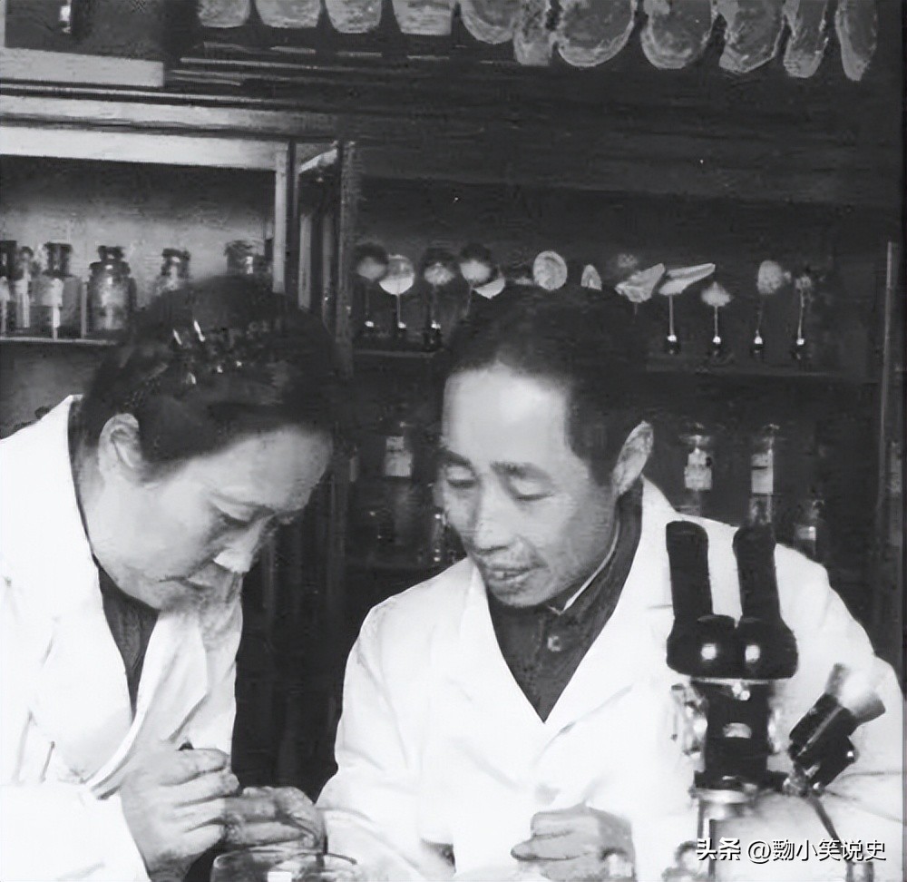 童第周小学课本,童第周是什么科学家