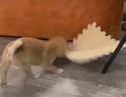 女厕的诡异事件,诡异女厕