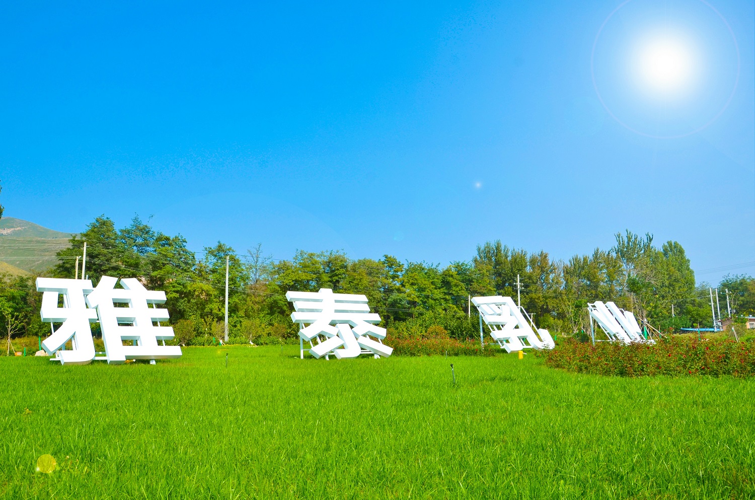 雅泰朵恩羊奶粉好不好,雅泰朵恩羊奶粉靠谱吗