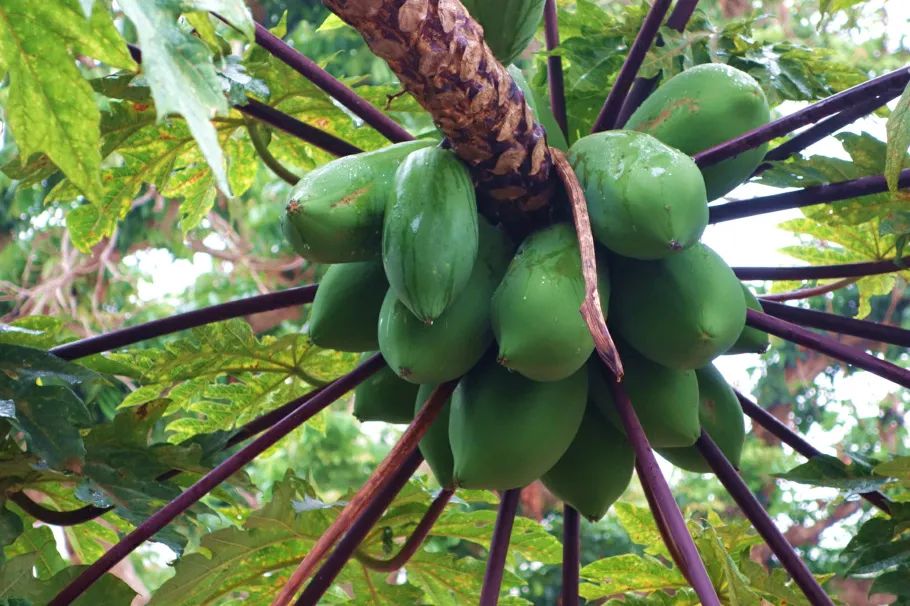 这座岛究竟有何神奇之处,怎么玩海陵岛不踩坑
