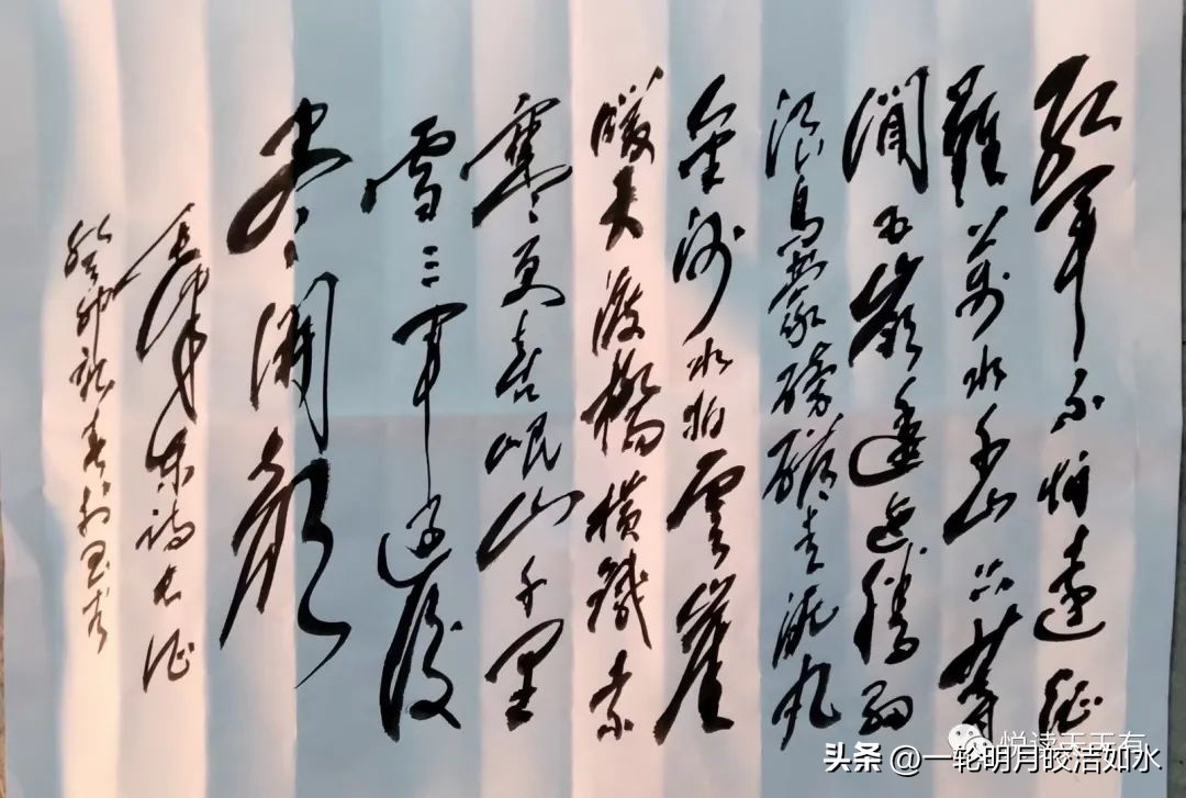 宋海洋采访,宋海洋专访完整视频