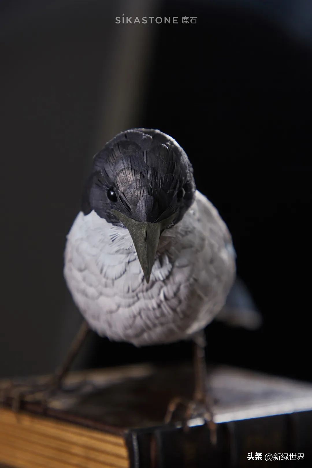 纸艺作品绘画,千变万化的纸艺术作品