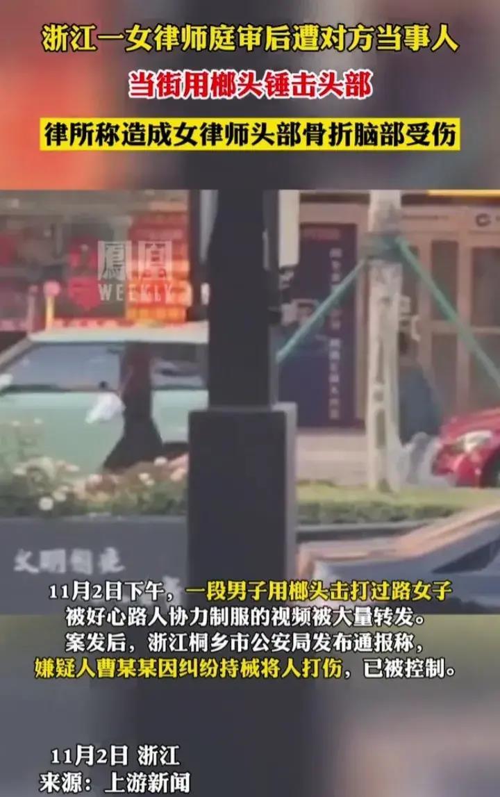 烂尾房开发商律师被打,开发商纠纷打官司