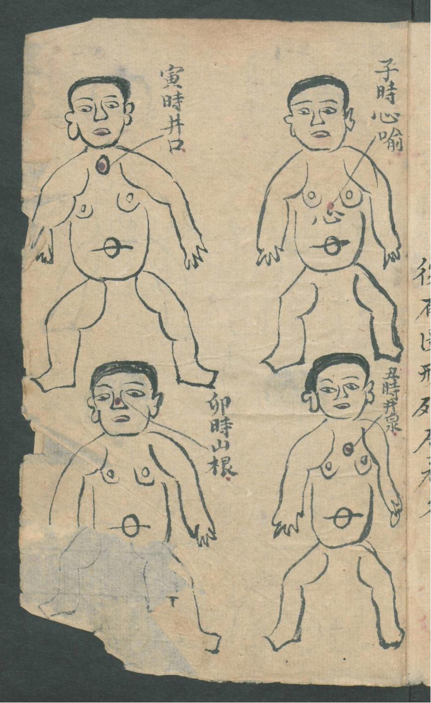 华佗仙师秘传01,华佗仙师秘传全集