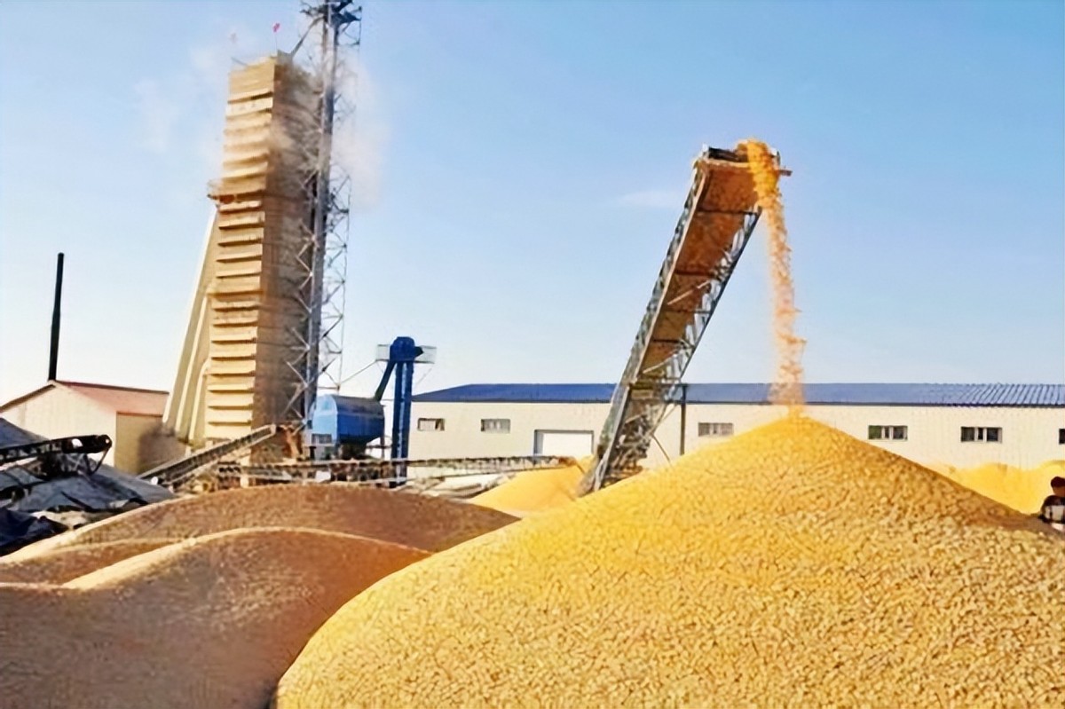 巴西对中国出口大豆问题,巴西大豆对中国出口新政策