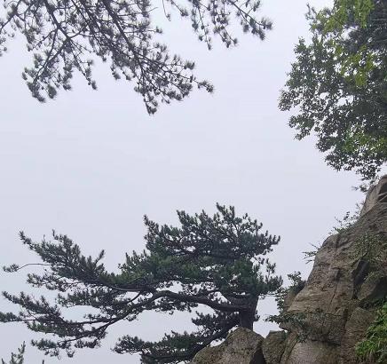 老界岭避暑92号山庄吃住全包,老界岭避暑胜地比较有名