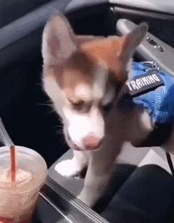 女厕的诡异事件,诡异女厕