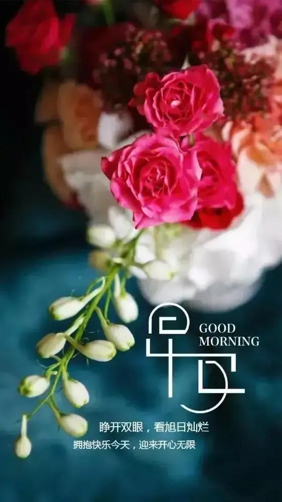 2023年02月27日星期一农历:癸卯年【兔年】二月初八八九第5天