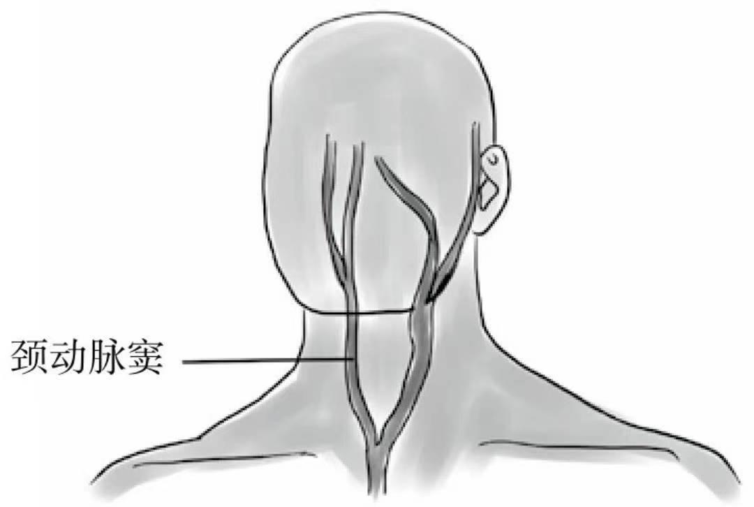 高血压和颈椎病眩晕的区别,颈椎僵硬是高血压还是颈椎病