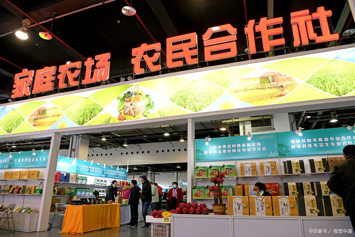 农民专业合作社农业产业发展,新时代农村合作社发展的思路