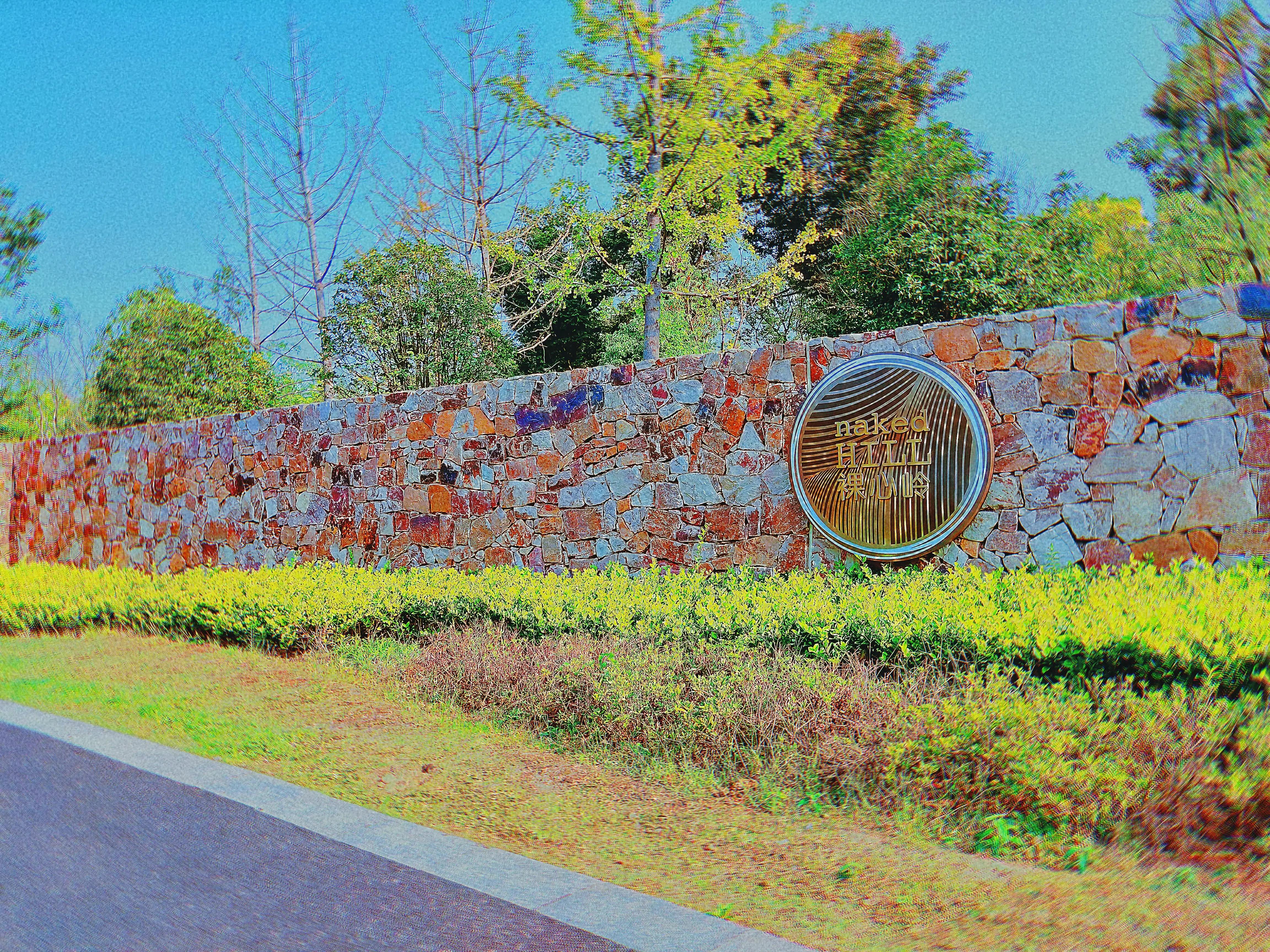 溧水无想山民宿预订,南京溧水无想山露营地点