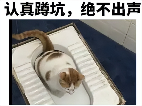 女性嫌马桶脏半蹲上厕所有危害吗,公厕蹲便器溅水会传染病吗