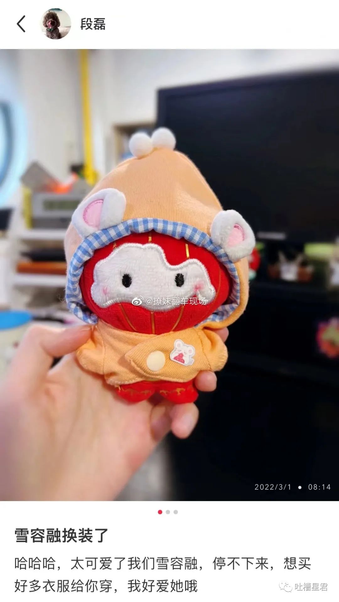 大s刚结婚时候的访谈,大s刚刚结婚的视频