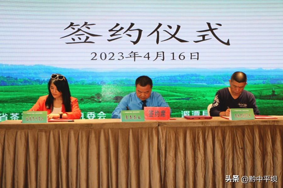 贵州黔茶产业推介会,贵州湄潭第15届茶博会