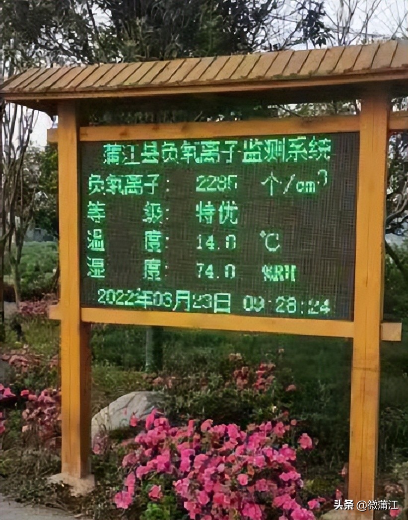 蒲江绿色生态屏障,蒲江县森林资源保护