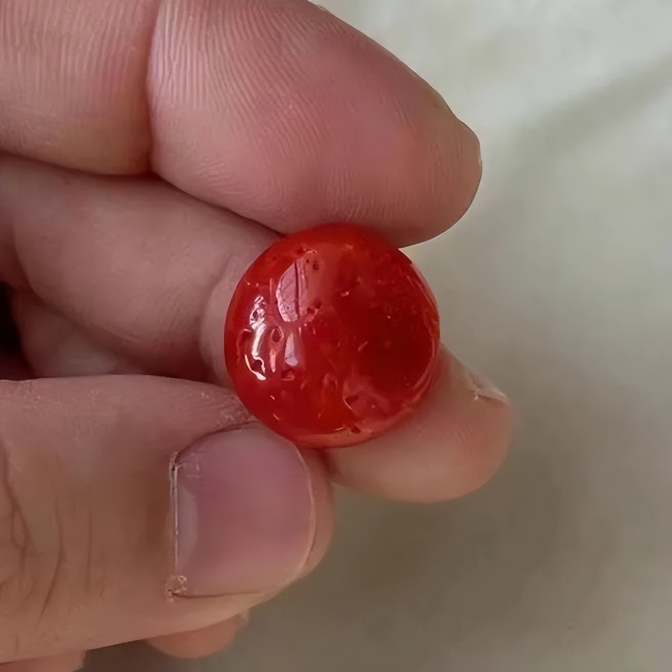 红珊瑚是深海中的千年灵物,深海精灵红珊瑚的万般风情