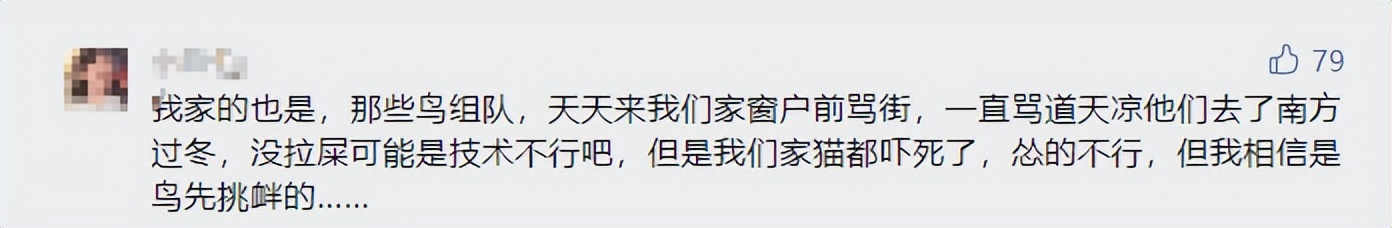 我哥窜稀，喷了我家猫一头粑粑！猫：我屎到淋头了...