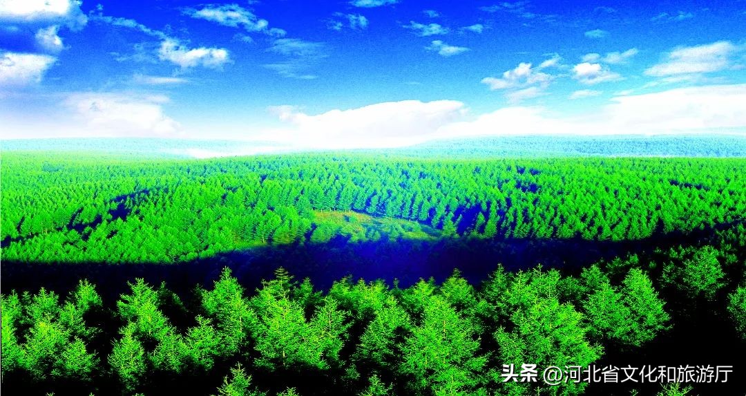 坝上草原最佳旅游线路,坝上草原旅游线路