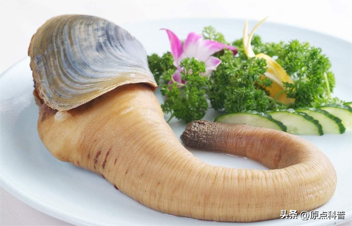 中国十大海鲜最新排名,国内生吃海鲜排行榜前十名