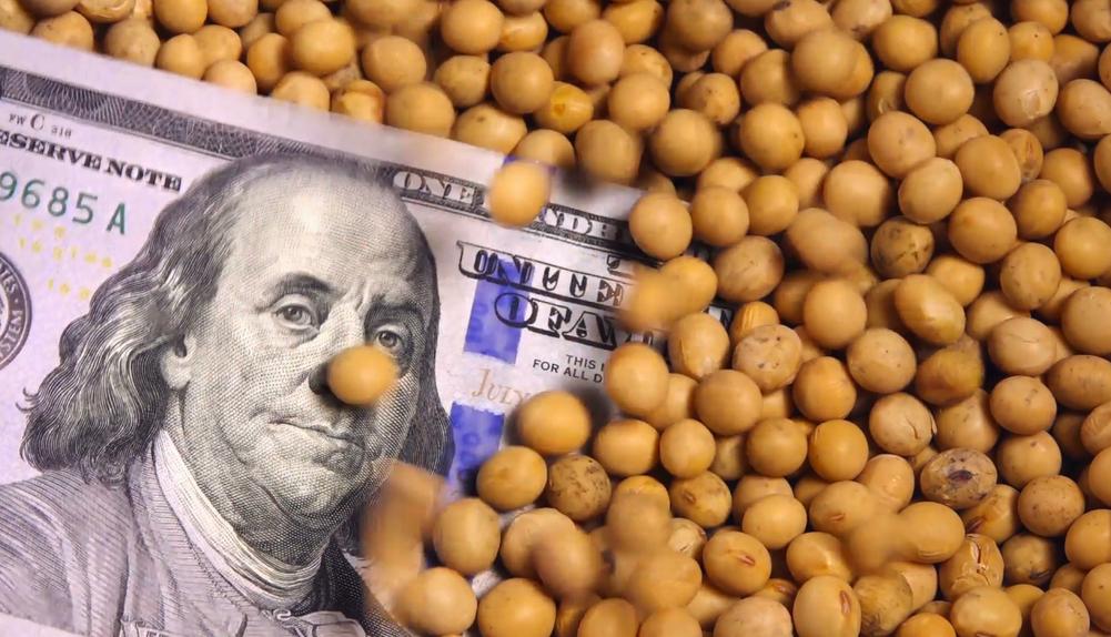 猪饲料未来价格趋势如何,饲料价格走势猪饲料