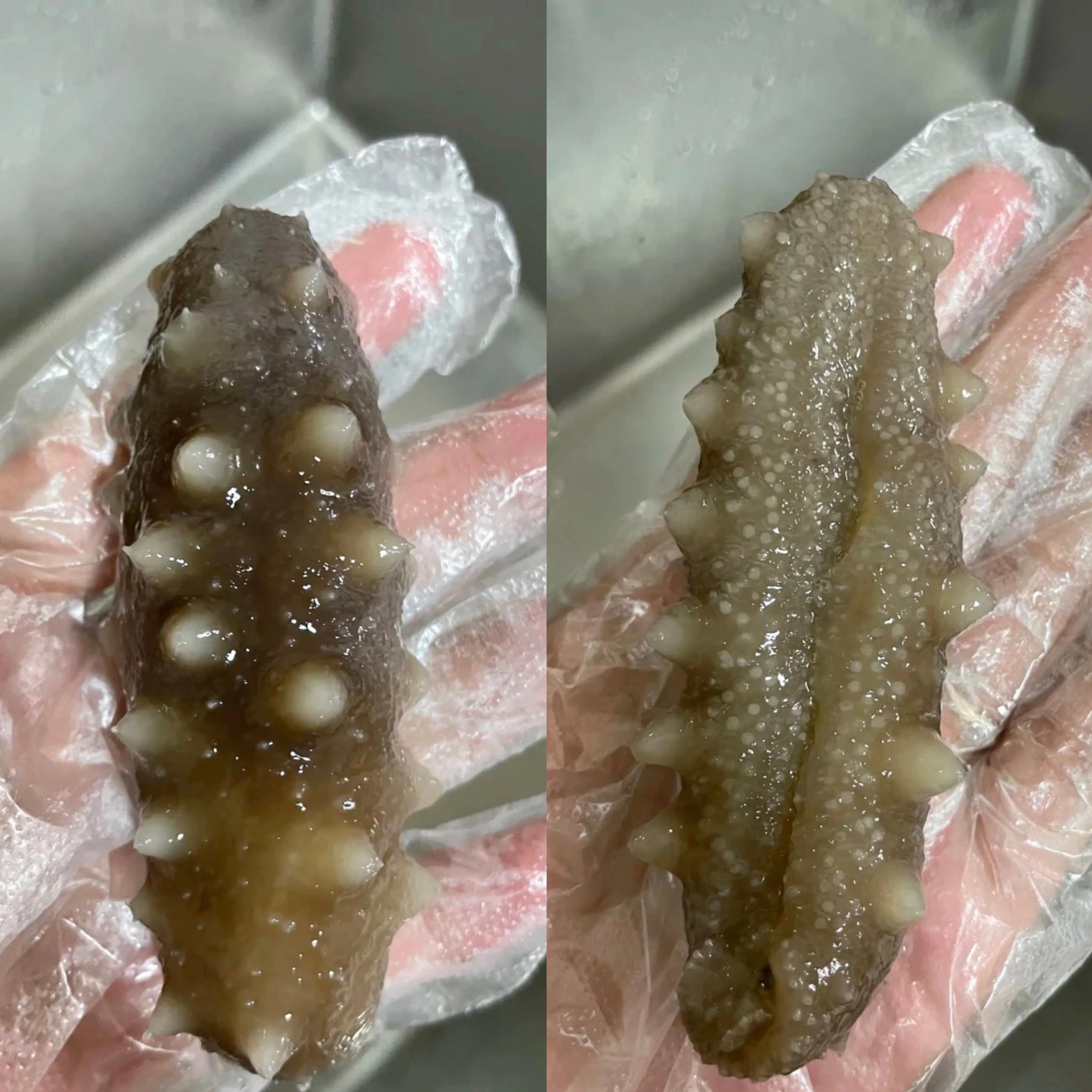 最便宜的海参骗局,便宜海参骗局