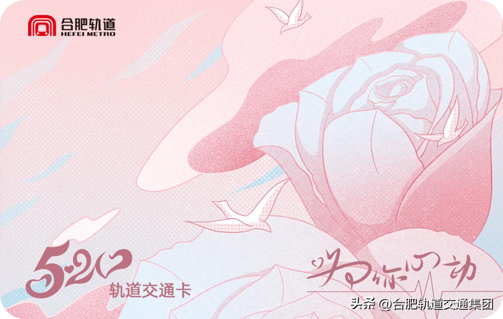 合肥轨道最新定价,合肥轨道年卡还会有吗