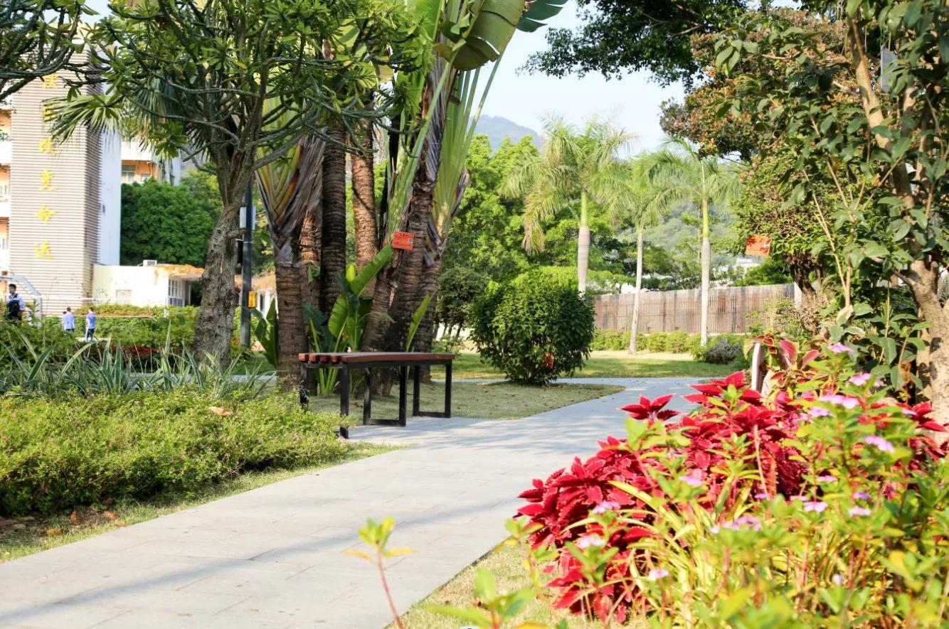 深圳十大私立贵族学校高中,深圳最贵民办高中学校