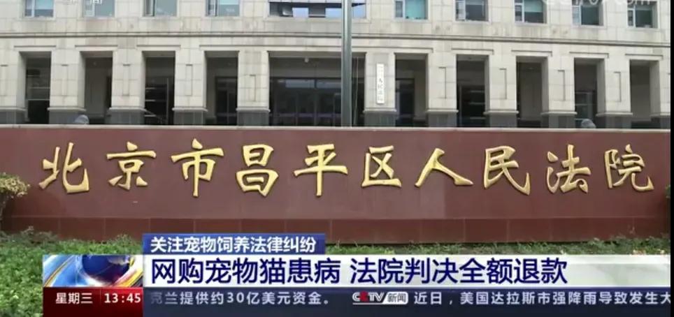 女子花十万元网购,女子花2300元买猫咪