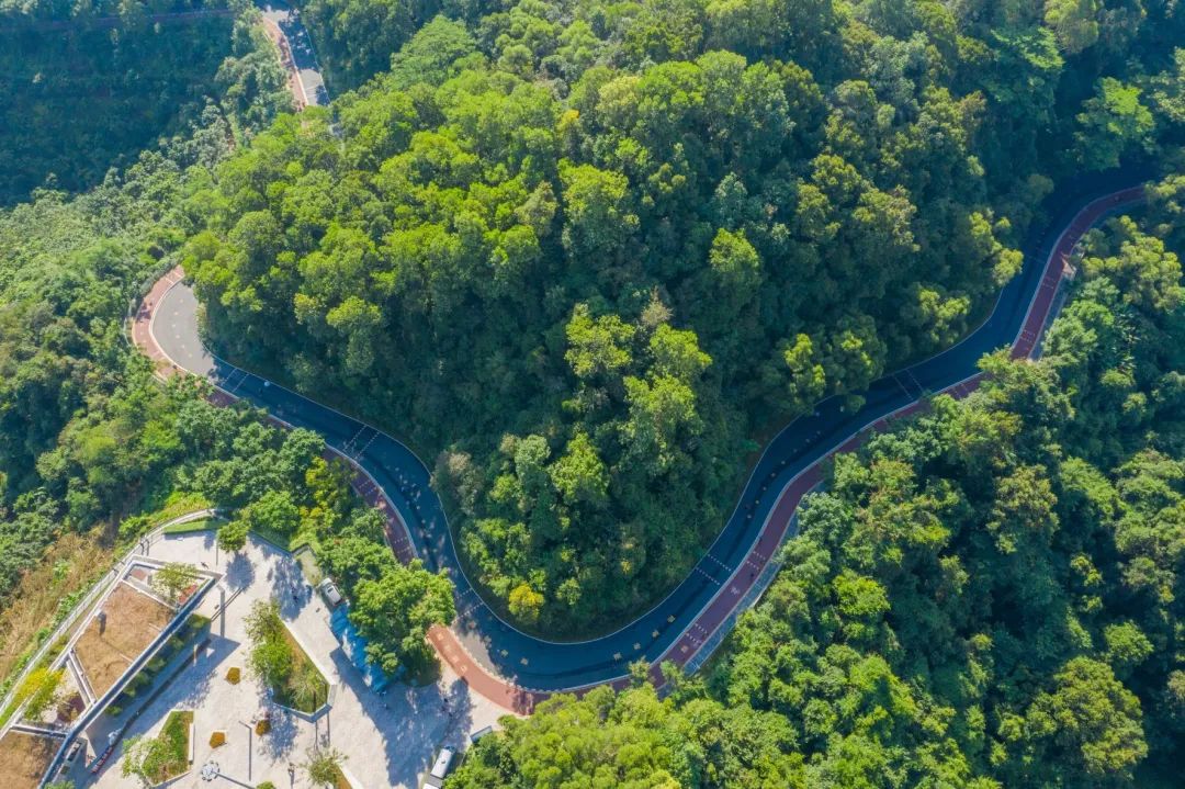 深圳淘金山绿道公园攻略,深圳淘金山绿道风景视频