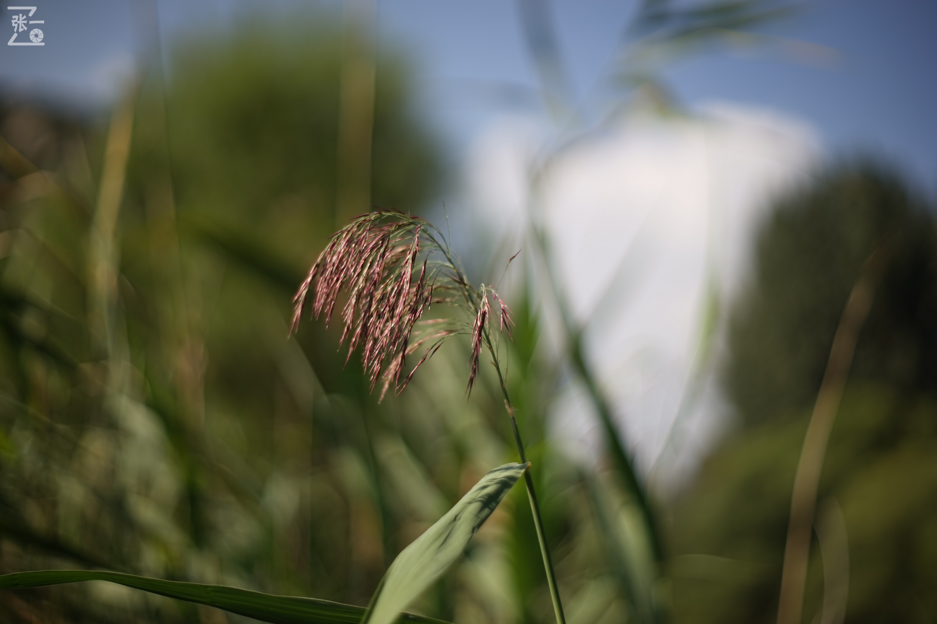 老镜头实拍,老镜头拍北京