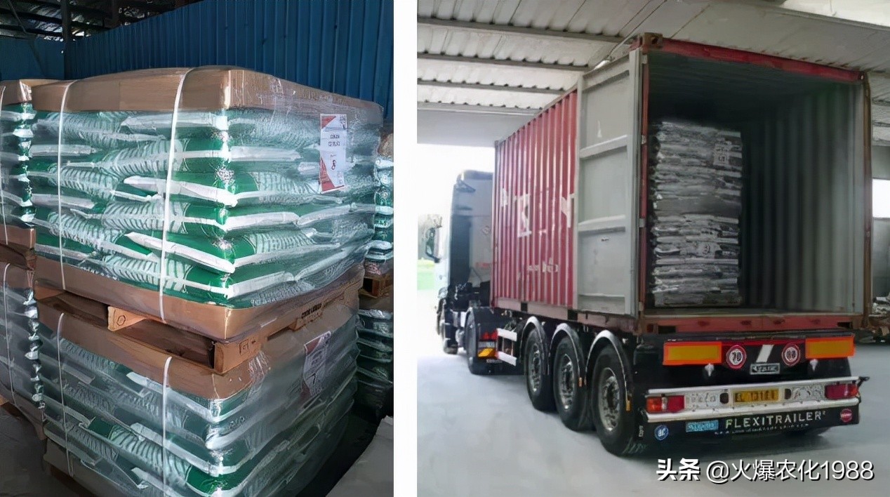 意大利、荷兰、比利时原装进口，交500顶2000；支持货到付款