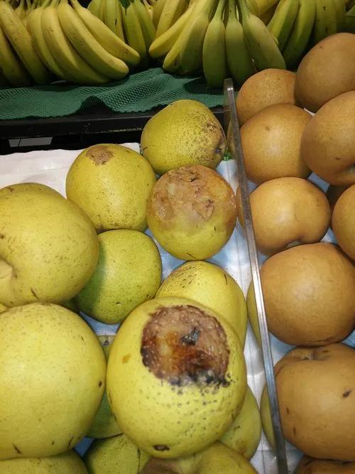 <html>
<head><title>502BadGateway</title></head>
<body>
<center><h1>502BadGateway</h1></center>
<hr><center>nginx</center>
</body>
</html>
<!--apaddingtodisableMSIEandChromefriendlyerrorpage-->
<!--apaddingtodisableMSIEandChromefriendlyerrorpage-->
<!--apaddingtodisableMSIEandChromefriendlyerrorpage-->
<!--apaddingtodisableMSIEandChromefriendlyerrorpage-->
<!--apaddingtodisableMSIEandChromefriendlyerrorpage-->
<!--apaddingtodisableMSIEandChromefriendlyerrorpage-->
