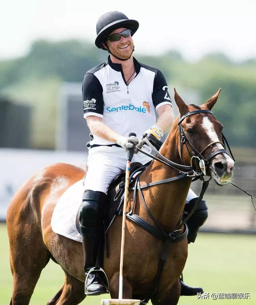 哈里王子和威廉王子回忆,哈里王子梅根感人视频