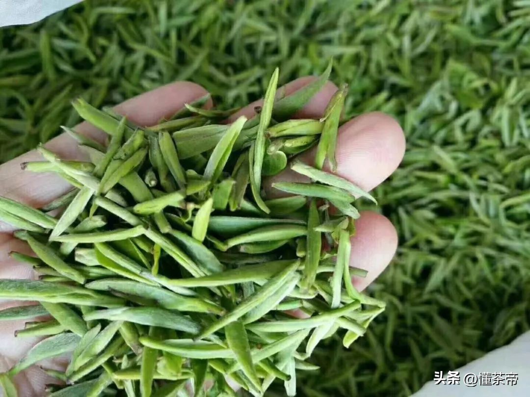 正品金骏眉红茶多少钱一斤,几十块一斤的金骏眉是真的吗