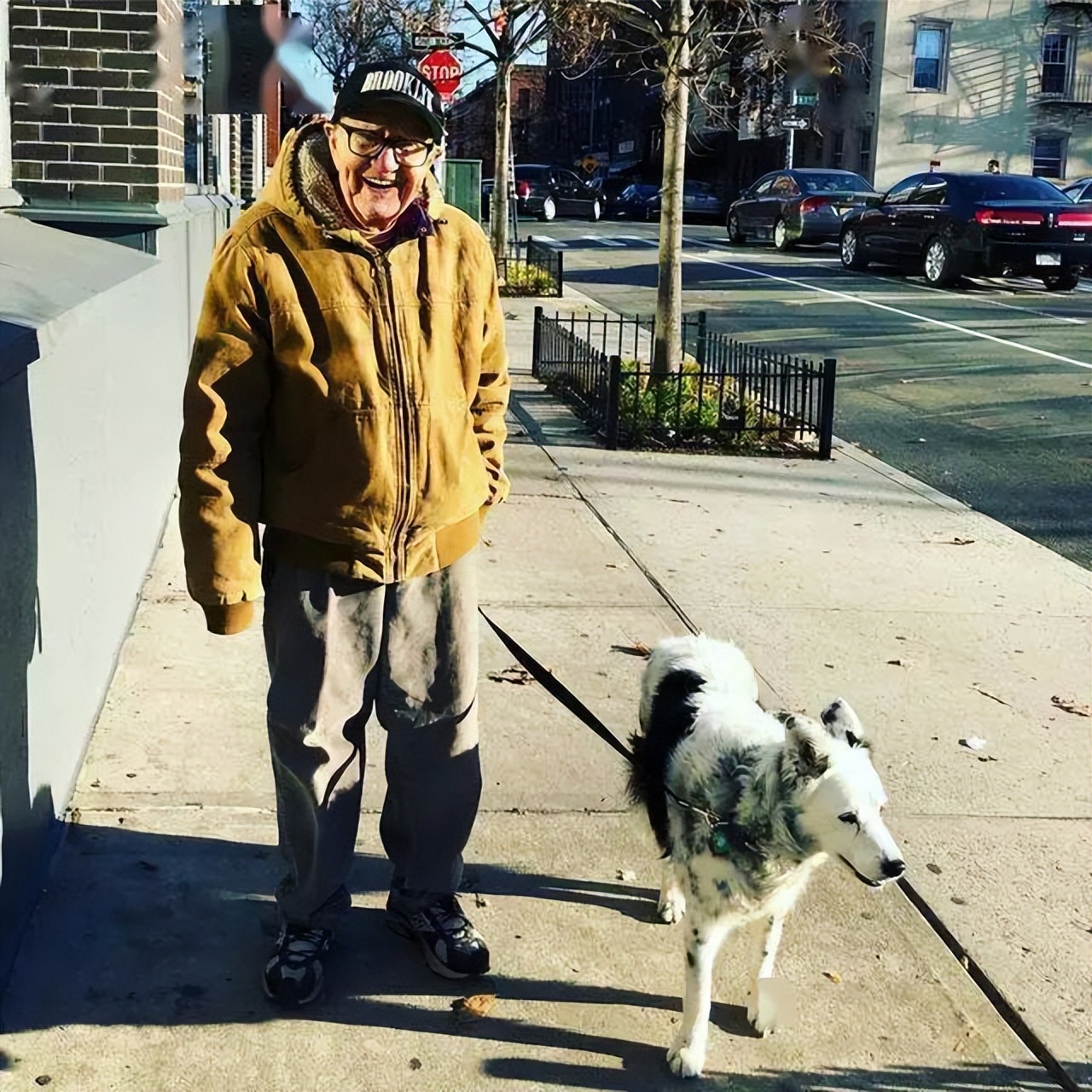 怎么教边牧用各种按钮说话,开拖拉机技术讲解