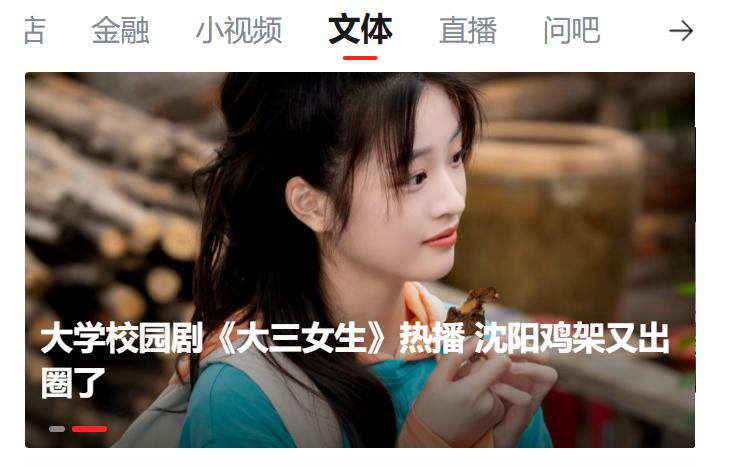 央视网中国新闻网直播,《中国新闻网》央视网